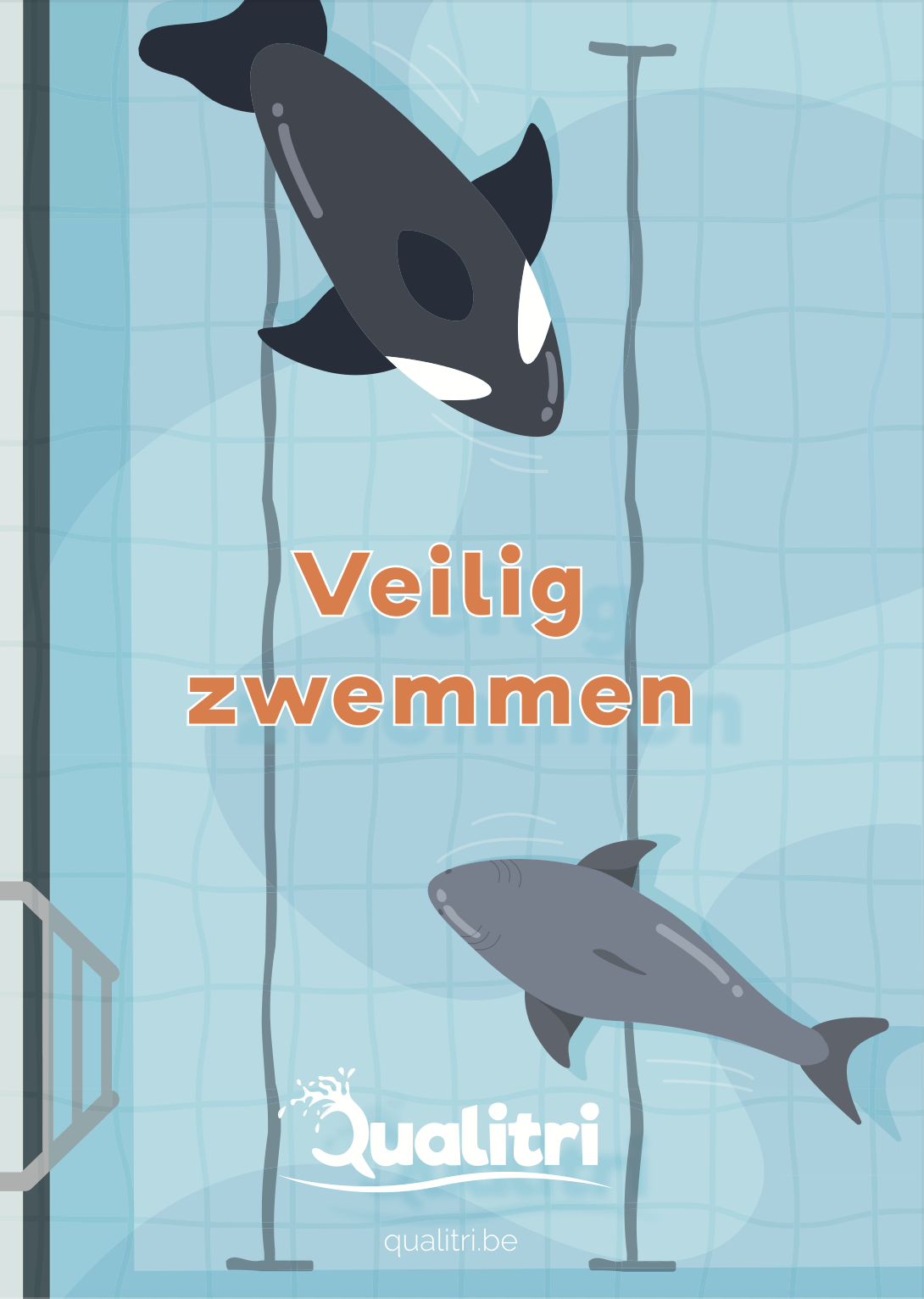 Het brevet van niveau 3