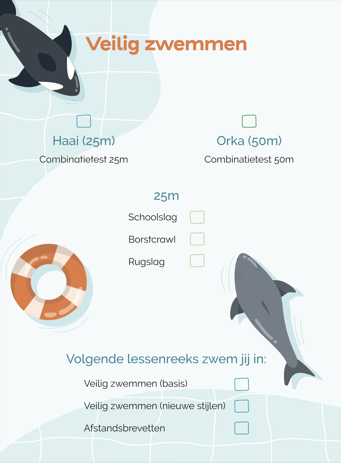 Het brevet van niveau 3